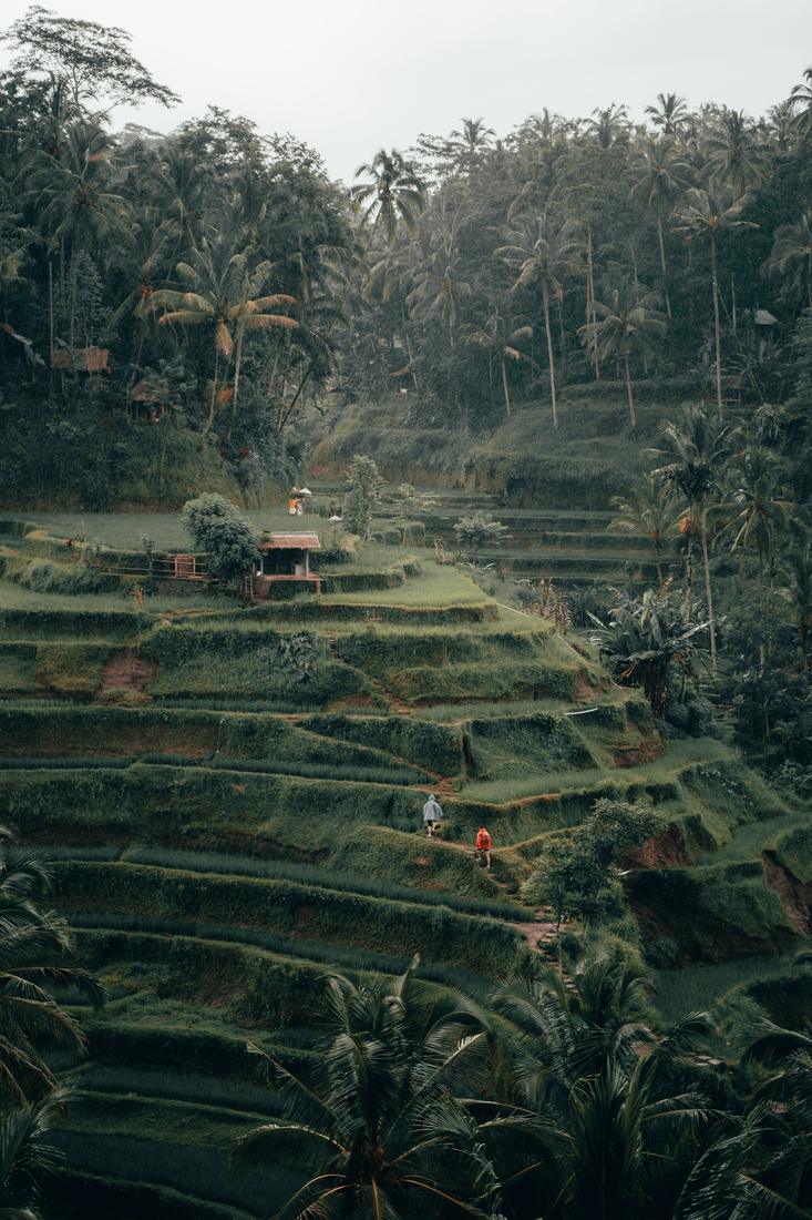 Indonesia
