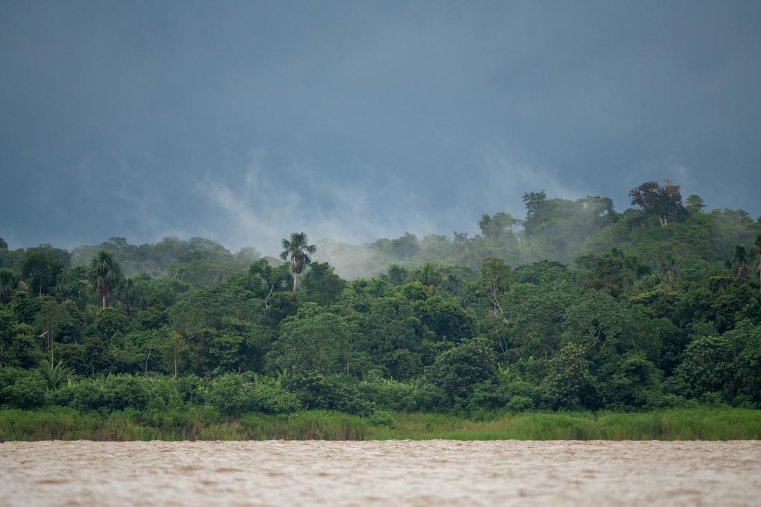 The Amazon Rainforest Lodge Escape