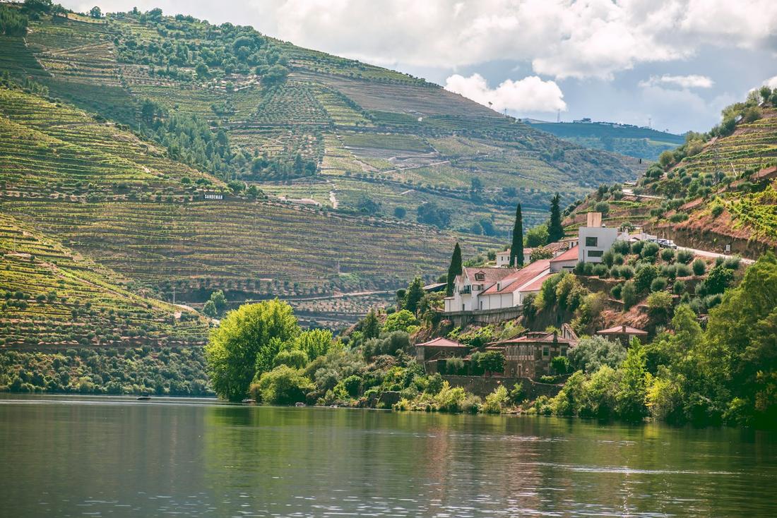 Douro Valley Wine Country by Boat & Vine