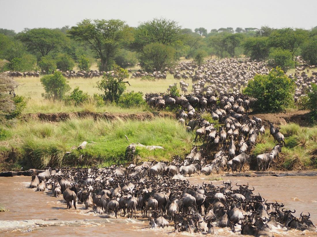 Tanzania