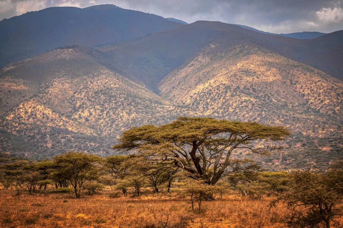 The Ngorongoro Crater & Northern Circuit Explorer