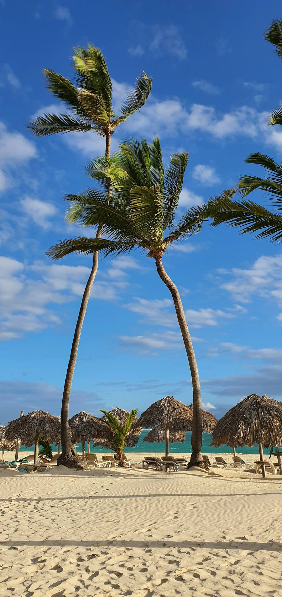 Punta Cana beach, Dominican Republic