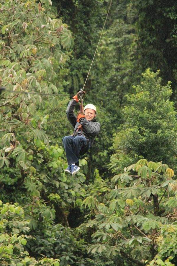 Zip-lining through a rainforest canopy